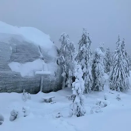 Lovely In Koli Next To A Large And Trails 別荘
