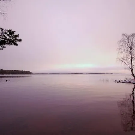 Lovely In Koli Next To A Large And Trails *