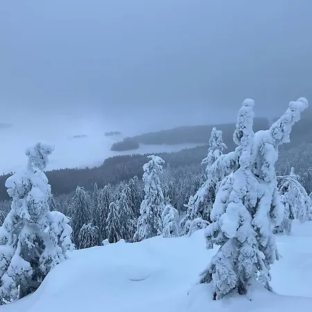 Lovely In Koli Next To A Large And Trails 別荘