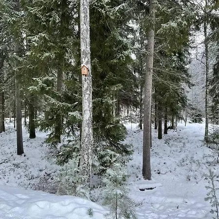 Lovely In Koli Next To A Large And Trails Kolinkylä