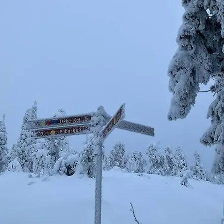 別荘 Lovely In Koli Next To A Large And Trails
